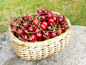 The Farm on Three Mile Creek Image